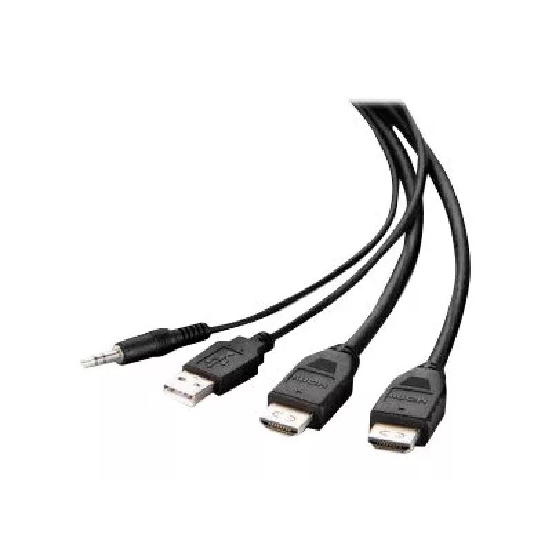 Belkin Secure KVM Combo kabel - Kabel wideo/USB/audio - zgodny z TAA - USB, Mini-Plug, HDMI (M)