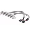 Kabel wspornika gniazda USB 2.0 HighSpeed typ 2xIDC (5pin)/4xUSB A M/Ż szary 0,25m