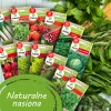 Zestaw nasion TORAF Wiosenne Smaki - 12 saszetek