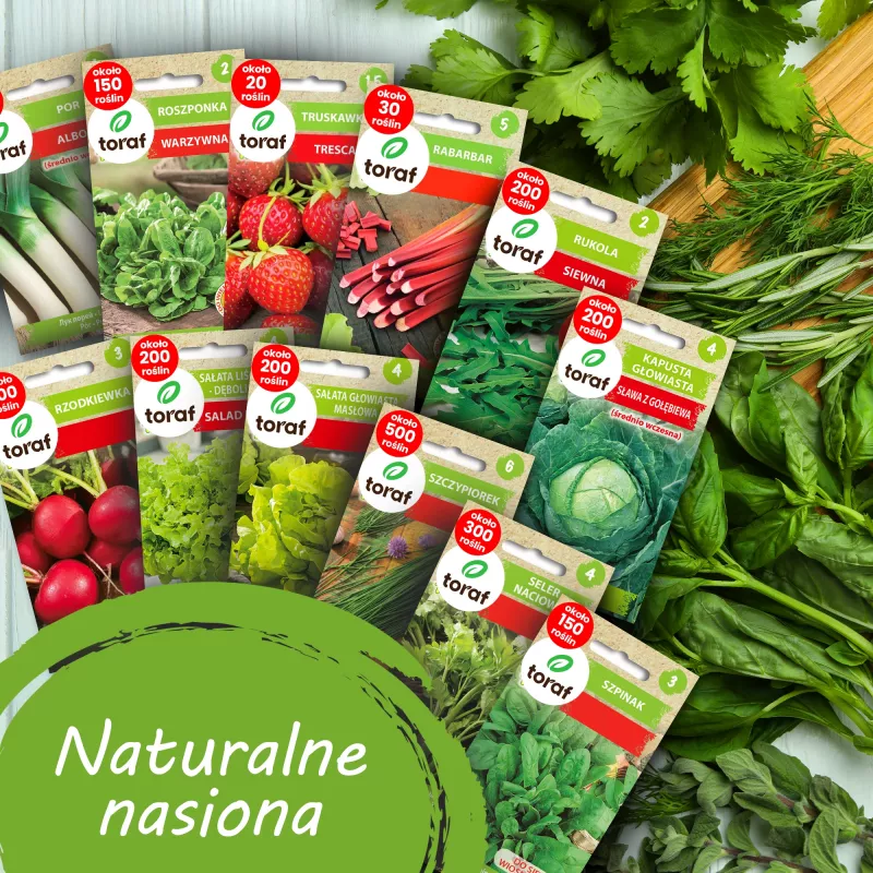 Zestaw nasion TORAF Wiosenne Smaki - 12 saszetek