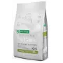 Sucha karma dla psa nature’s protection Superior Care biały Dogs Grain Free Junior Small 10 kg — Ryba, Białko 26%, Tłuszcz 15%