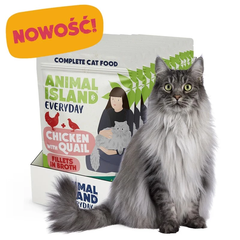 ANIMAL ISLAND Kurczak z filetami z przepiórki w bulionie - mokra karma dla kotów - 12x85g