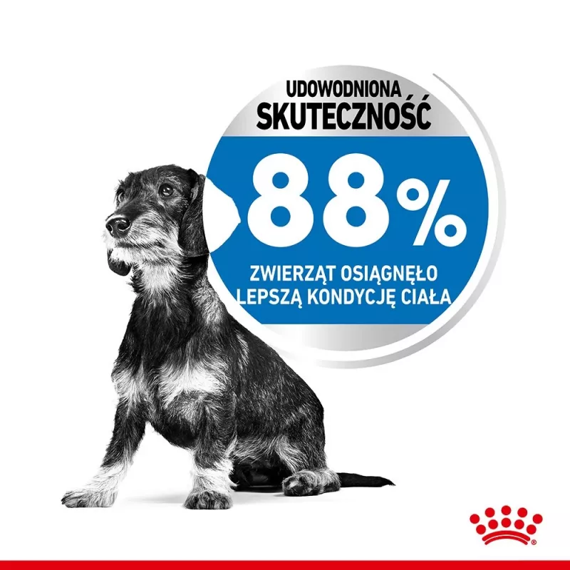 Royal Canin CCN MINI LIGHT WEIGHT CARE - sucha karma dla dorosłych psów - 3kg