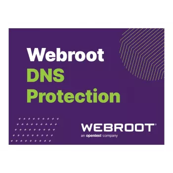 Webroot | DNS Protection with GSM Console | 1 rok | Licencja na 10-99 użytkowników