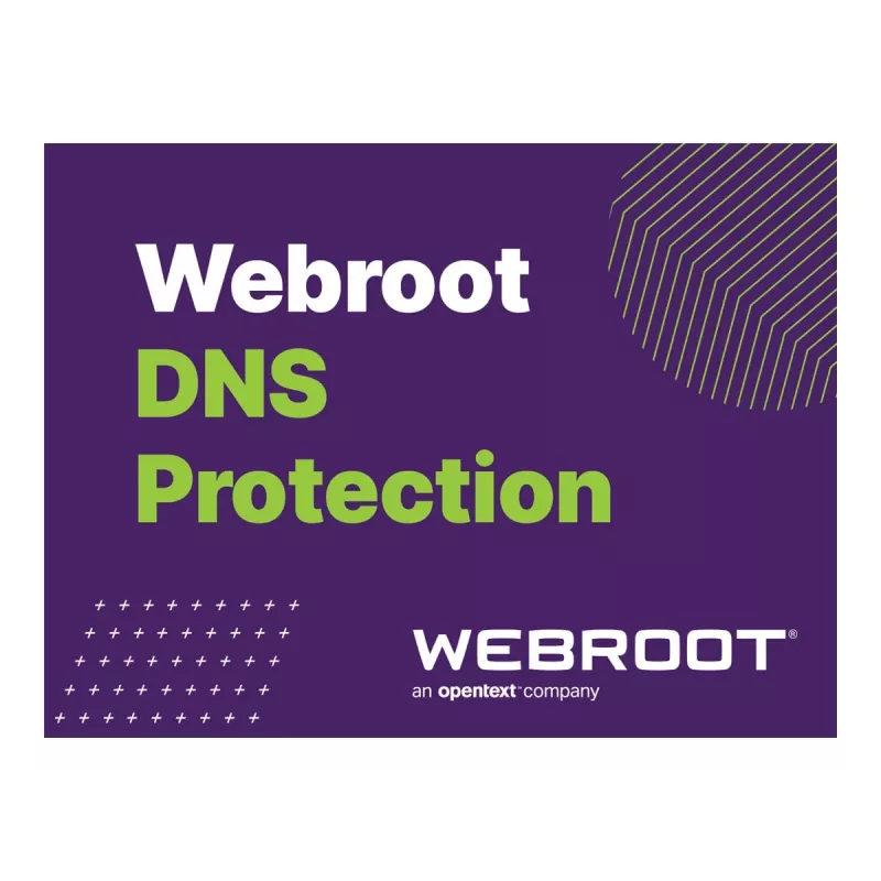 Webroot | DNS Protection with GSM Console | 1 rok | Licencja na 10-99 użytkowników