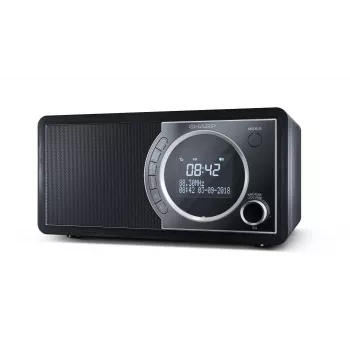 Sharp DR-450 Radio cyfrowe - czarny, osobiste, cyfrowe, DAB, DAB+, FM, 87,5 - 108 MHz, 174,928 - 239,2 MHz, 3 W