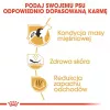 Royal Canin BHN French Bulldog Adult sucha karma dla psów, 9 kg