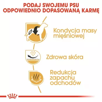 Royal Canin BHN French Bulldog Adult sucha karma dla psów, 9 kg