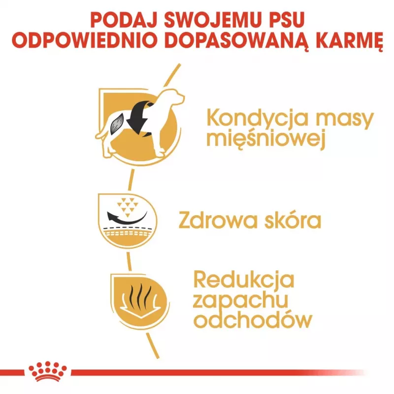 Royal Canin BHN French Bulldog Adult sucha karma dla psów, 9 kg