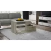 Topeshop ŁAWA DALLAS SONOMA coffee/side/end table Stolik kawowy Kształt dowolny 1 noga/ nóg
