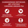 PURINA ONE MED/MAX Junior Kurczak i Ryż 2,5kg