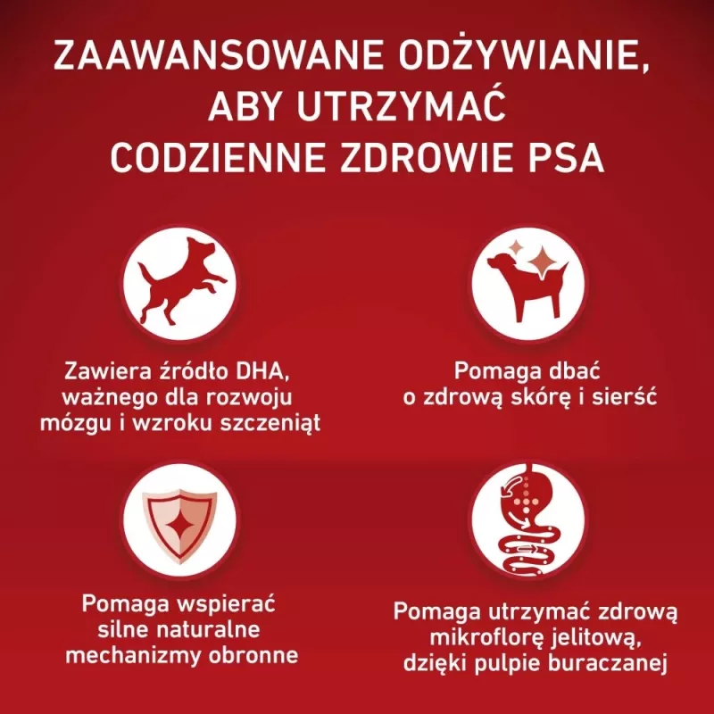 PURINA ONE MED/MAX Junior Kurczak i Ryż 2,5kg
