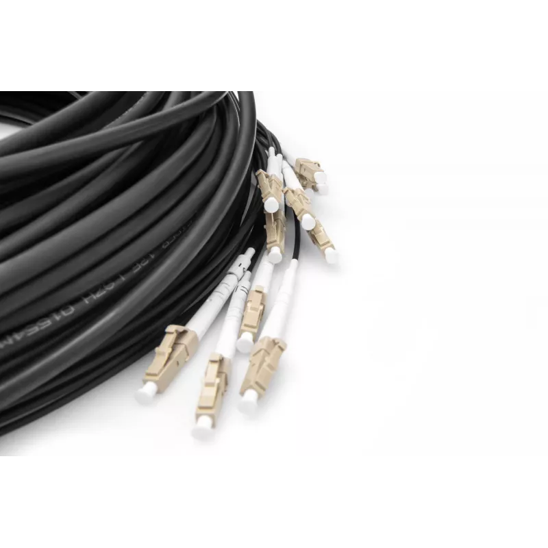 Kabel rozgałęźny Digitus DK-2433CU030BK-BBB 30m OM4 12 włókien LC/UPC