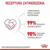 Sucha karma dla kota Royal Canin Kitten 2 kg — formuła z drobiem (kurczakiem), białko 36%, tłuszcz 18%