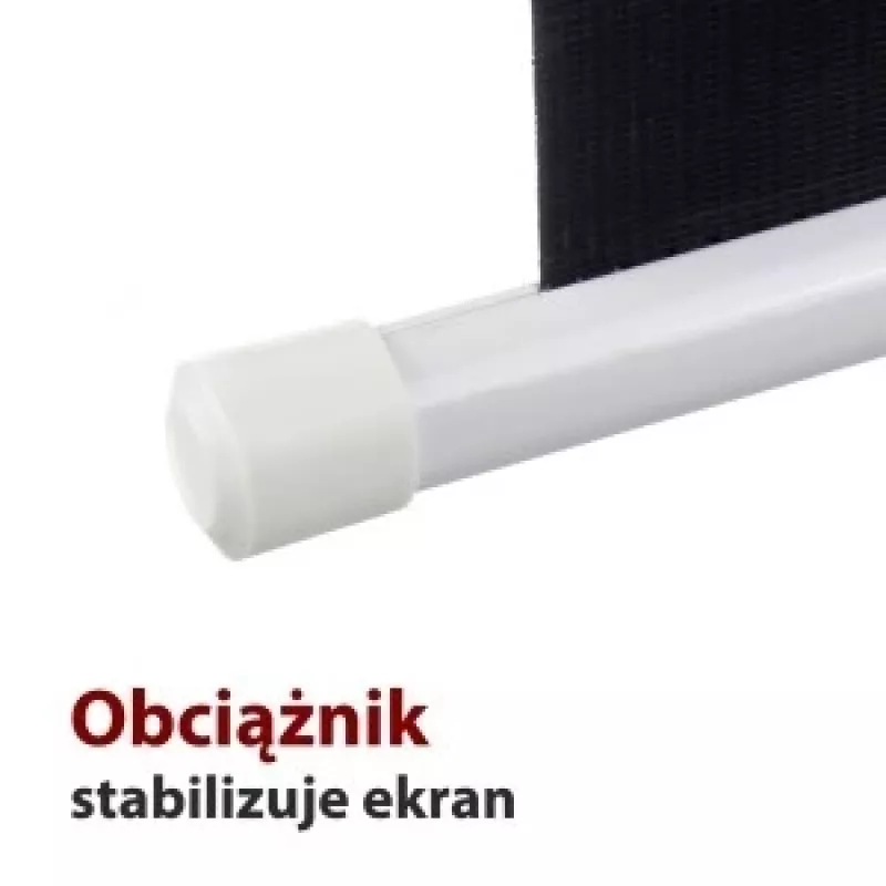 Ekran projekcyjny ART EL F100 4:3