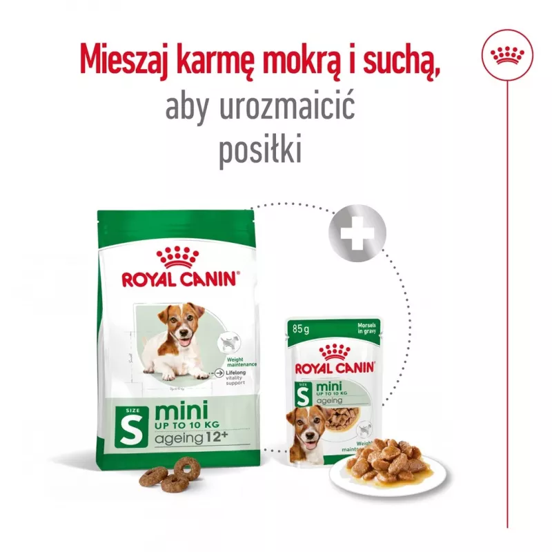 ROYAL CANIN Mini Ageing Adult +12 - sucha karma dla psów - 3,5 kg