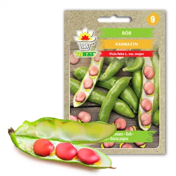 Nasiona fasoli szkarłatnej Toraf, opakowanie 30 g