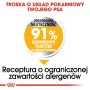 ROYAL CANIN Mini Dermacomfort - sucha karma dla dorosłych psów małych ras o wrażliwej skórze skłonnej do podrażnień - 3kg