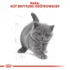 Sucha karma dla kota Royal Canin British Shorthair Kitten 2 kg – kurczak, 38% białka, 20% tłuszczu, formuła wzrostu