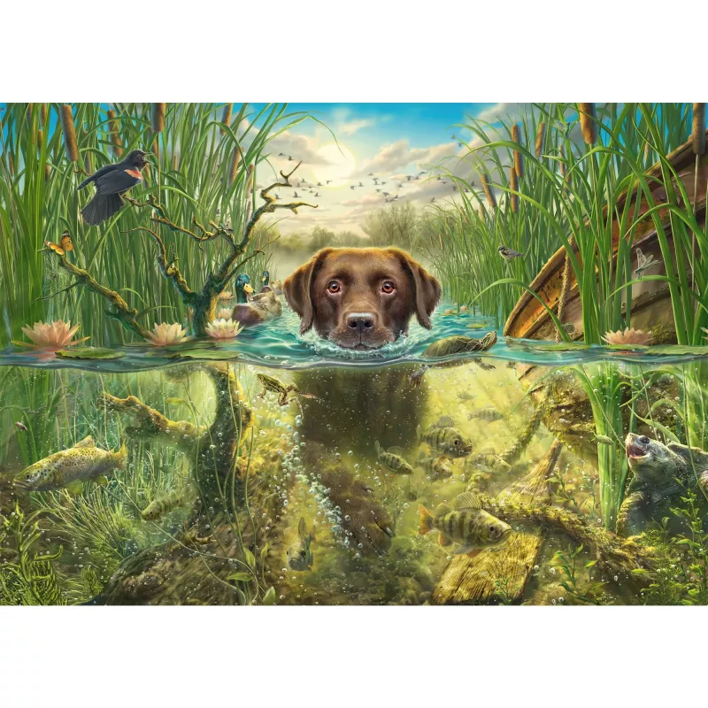 Mark Fczerwonyrickson: dog love - brown Labrador w chłodnej wodzie, Puzzle 1000 elementów