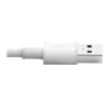 Eaton Tripp Lite Series USB-A to Lightning Sync/Charge Cable (M/M) - MFi Certified, White, 6 ft. (1.8 m) - Daten-/Netzkabel - USB männlich zu Lightnin