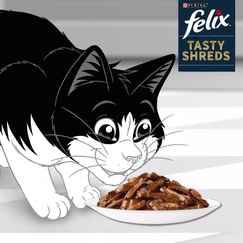 FELIX Tasty Shczerwonys z wołowiną i kurczakiem - 4x 80g