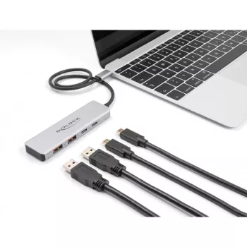 DeLOCK USB Hub USB Type-C 10 Gb/s 2x Type-A 2x Type-C kabel 35 cm
