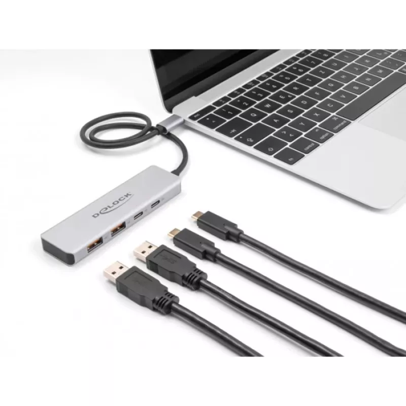 DeLOCK USB Hub USB Type-C 10 Gb/s 2x Type-A 2x Type-C kabel 35 cm