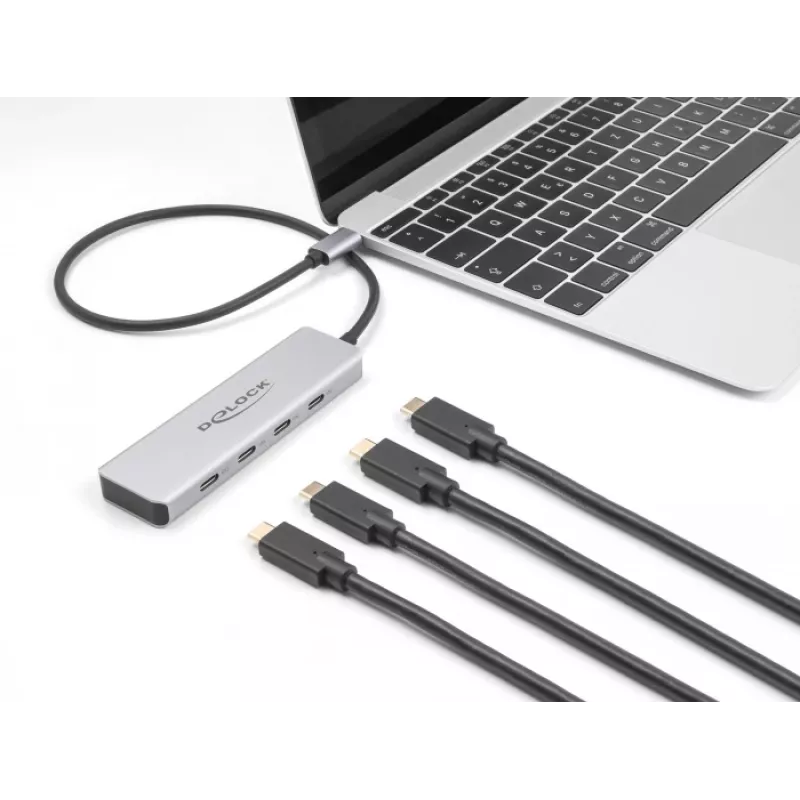 DeLOCK USB-C Hub 10 Gb/s 4 porty Aluminiowy Szary