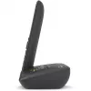 Telefon analogowy/DECT Gigaset C575A