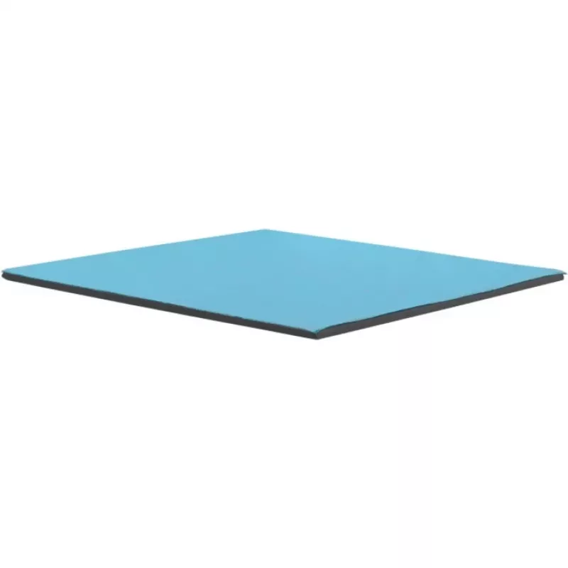 Thermal Grizzly Minus Pad Pro - 100 x 100 x 1,5 mm
