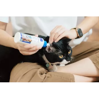 Roztwór do pielęgnacji uszu VIRBAC EPI-OTIC 125 ml – weterynaryjny środek czyszczący uszy dla psów i kotów