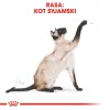 Sucha karma dla kota Royal Canin Siamese 2 kg — Dorosły, Drób, Białko 38%, Tłuszcz 16%