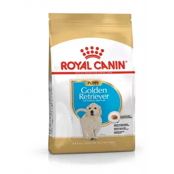 Royal Canin Golden Retriever Puppy sucha karma dla psów, 12 kg