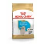 Sucha karma dla psa Royal Canin Golden Retriever Junior 12 kg — drób, 29% białka, 16% tłuszczu