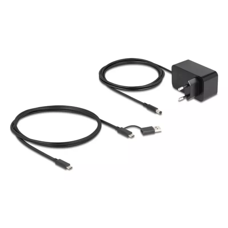 DeLOCK 64326 koncentrator interfejsów USB 3.2 Gen 2 (3.1 Gen 2) Type-C 10000 Mbit/s Czarny