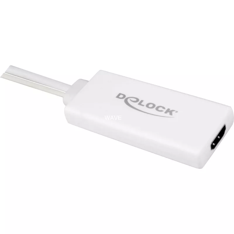 Delock - Video- / Audio-Adapter - USB, 15 pin D-Sub (DB-15) männlich zu HDMI weiblich - 25cm - weiß (62460)