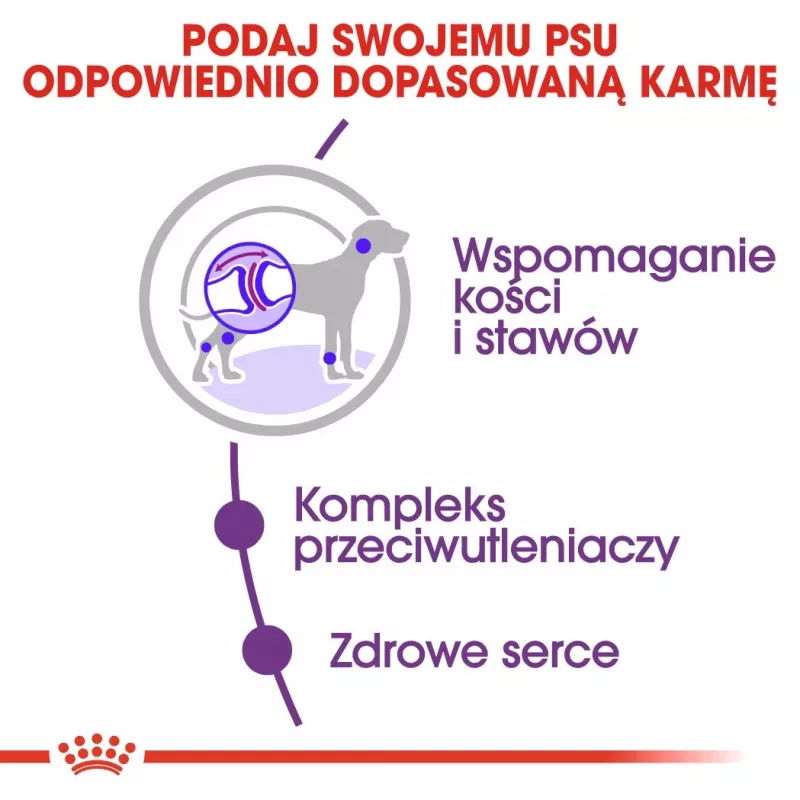 ROYAL CANIN Giant Adult - sucha karma dla psów - 15 kg