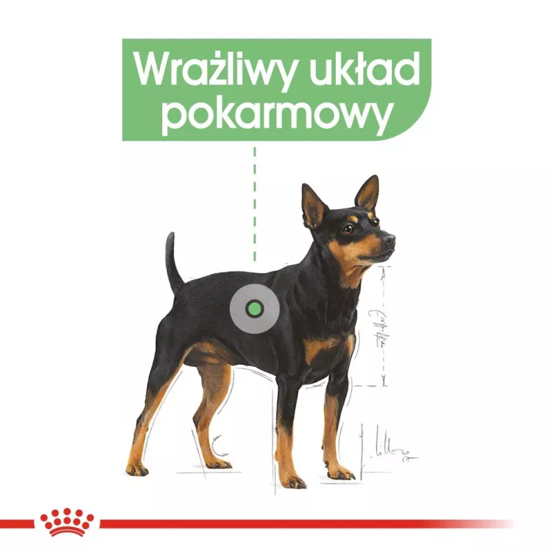 Mokra karma dla psa Royal Canin Digestive Care saszetki z mięsem i warzywami 12 x 85 g — psy dorosłe, wsparcie trawienia
