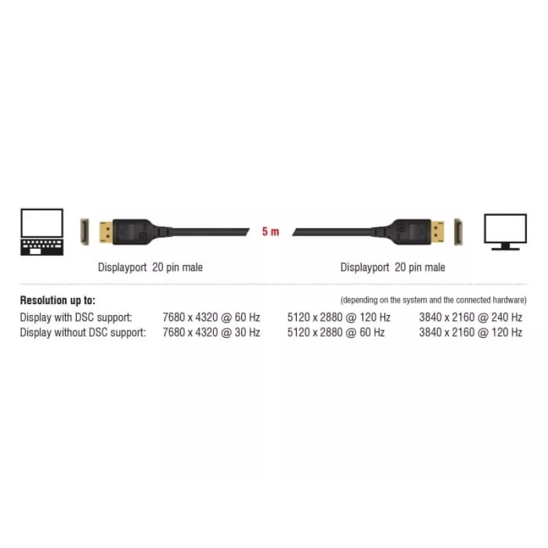 Kabel DisplayPort DeLOCK 85661 3 m Czarny