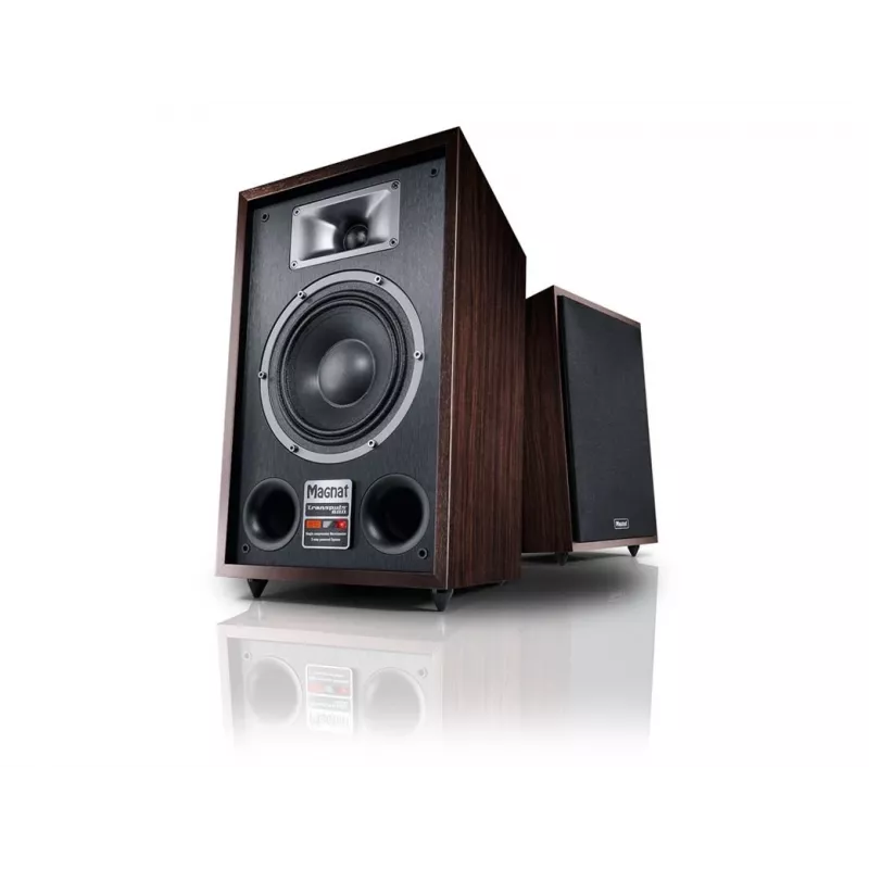 Magnat TRANSPULS 800A 2-drożny głośnik podłogowy przewodowy i bezprzewodowy 2×60 W, Bluetooth 5.0, HDMI, Czarny/Brązowy