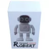 Głośnik Bluetooth ALLNET Robert z obsługą aplikacji — model Robert