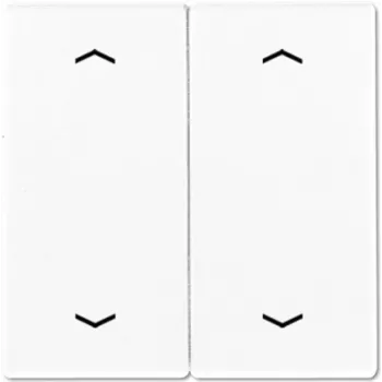 JUNG JG rocker f. push button BA 2-FLS995MPWW