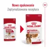 ROYAL CANIN SHN Medium Adult w sosie - mokra karma dla dorosłych psów - 10x140g