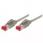 Tecline 71707 Ethernet kabel krosowy szary