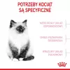 Sucha karma dla kota Royal Canin Kitten 2 kg — formuła z drobiem (kurczakiem), białko 36%, tłuszcz 18%