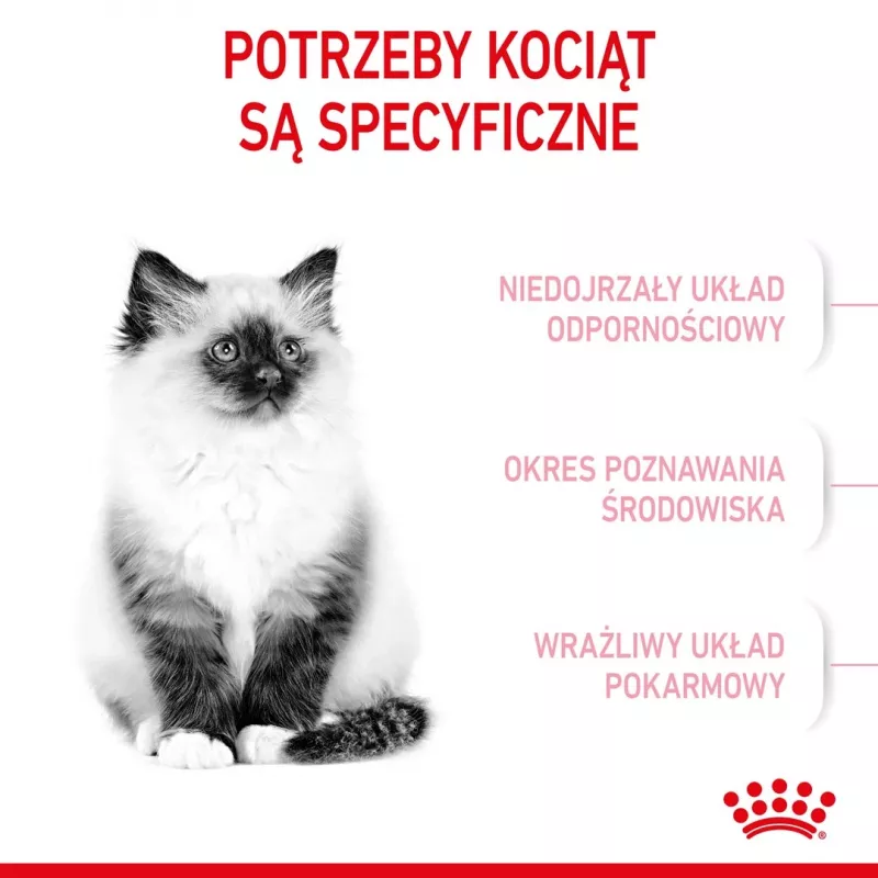 Sucha karma dla kota Royal Canin Kitten 2 kg — formuła z drobiem (kurczakiem), białko 36%, tłuszcz 18%