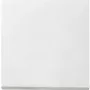 Gira 029627 Urządzenie sieciowe