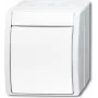 BUSCH-JAEGER Przełącznik krzyżowy 2601/7W-54 ocean Alpine Biały IP44 Kołyskowy 2601/7W-54 (2601/7W-54)
