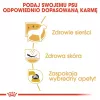 Royal Canin BHN West Highland Biały Terrier Adult - sucha karma dla dorosłych psów - 3 kg
